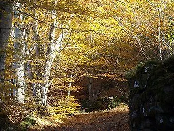 Hotel Au Chalet Fleuri Saint-Jacques-des-Blats