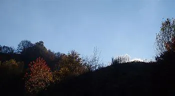 Au Chalet Fleuri 2*