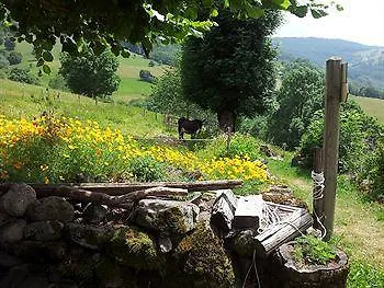 Hotel Au Chalet Fleuri Saint-Jacques-des-Blats