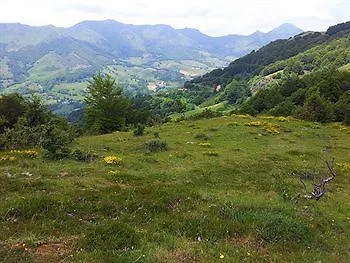 Hotel Au Chalet Fleuri